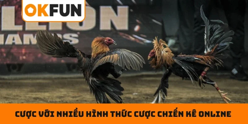 Tham gia cược với nhiều hình thức cược chiến kê online siêu hot