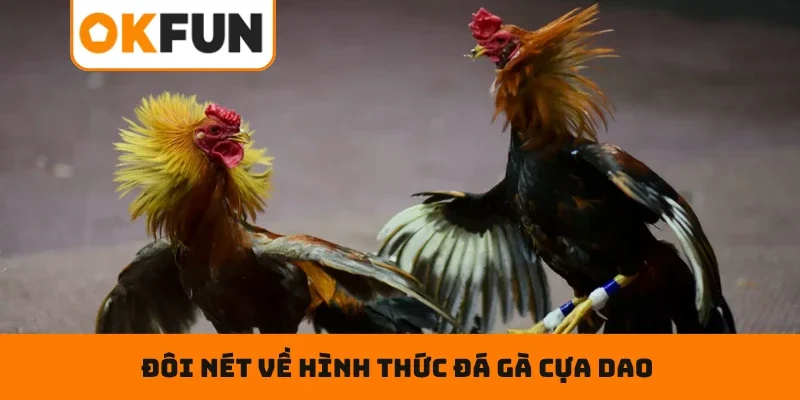 Đá Gà Cựa Dao – Đấu Trường Rực Lửa Và Chọn Cửa Cược Thắng Lớn Đôi nét về hình thức đá gà cựa dao được hội viên yêu thích