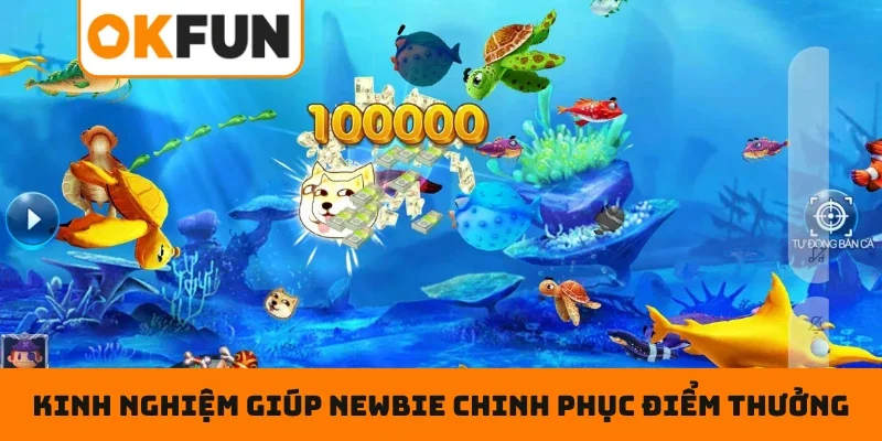 Kinh nghiệm giúp newbie chinh phục điểm thưởng cực khủng